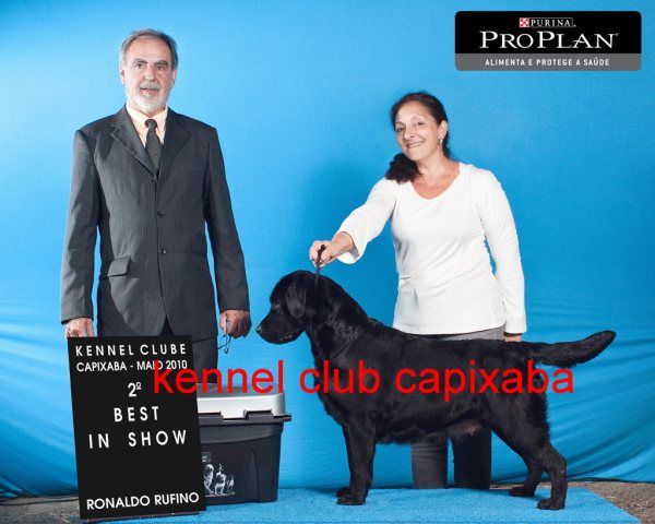 Clique sobre a foto para fechar